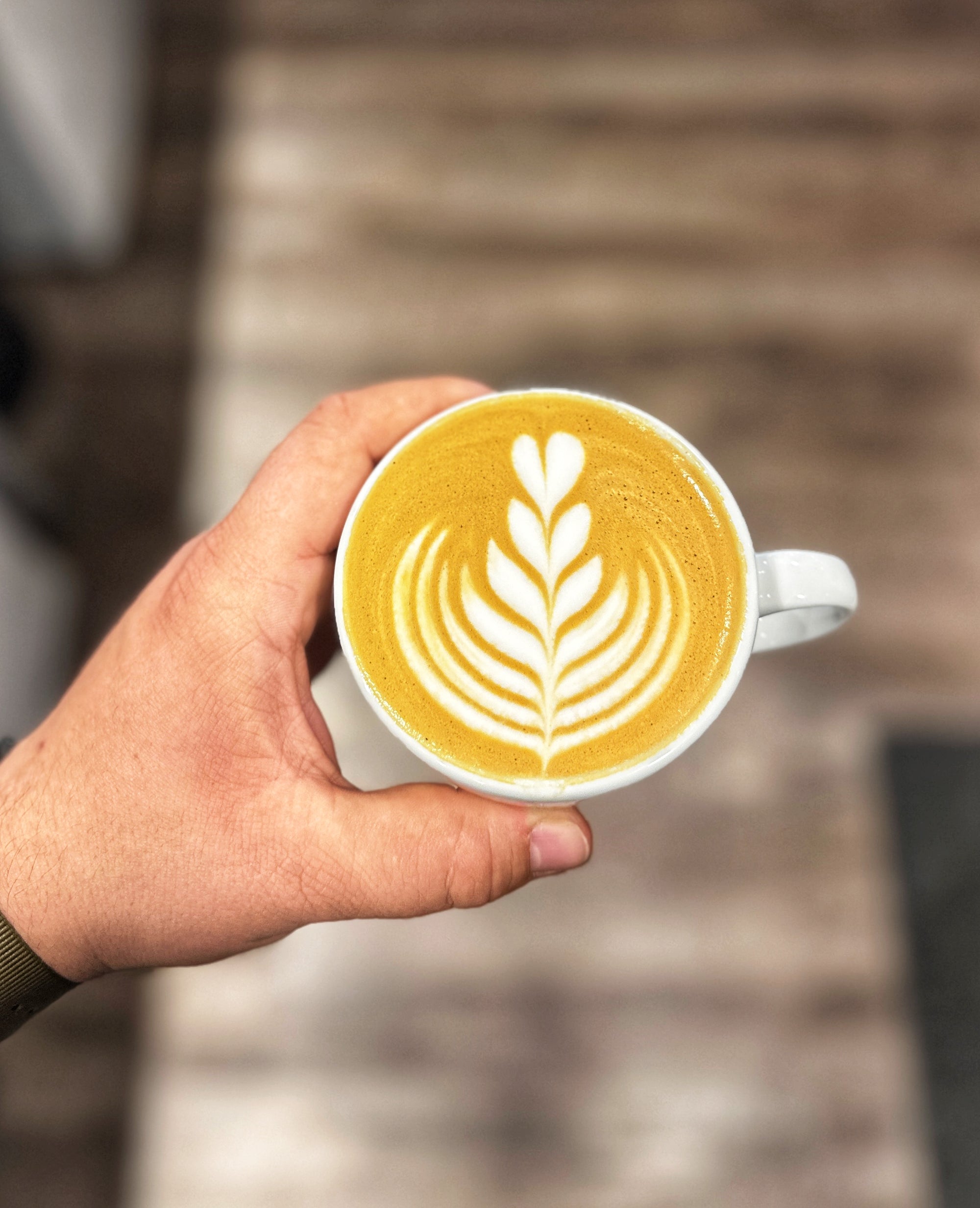 Barista Kurs (Anfänger)